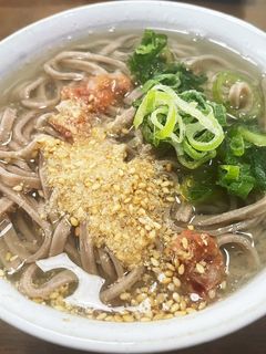 お出汁でさっぱり!梅と大根の蕎麦-レシピのメイン写真