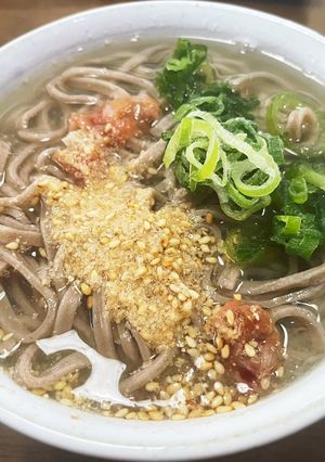 お出汁でさっぱり！梅と大根の蕎麦-レシピのメイン写真