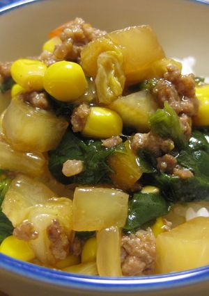 簡単すぎ☆肉野菜丼-レシピのメイン写真
