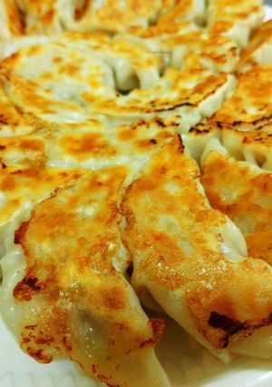 姜葱醤餃子-レシピのメイン写真