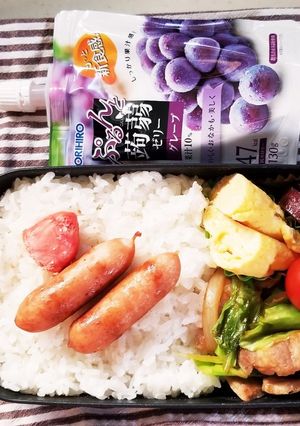 豚肉キャベツ炒め弁当(1.25)-レシピのメイン写真