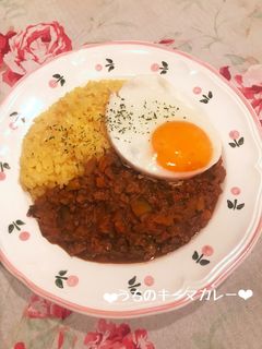 栄養満点♡うちのキーマカレー♪-レシピのメイン写真