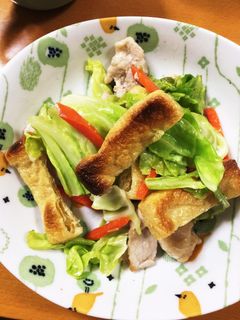 キャベツか白菜、豚肉、油揚げの塩炒め-レシピのメイン写真