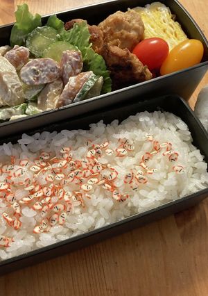 高校生男子弁当　269-レシピのメイン写真