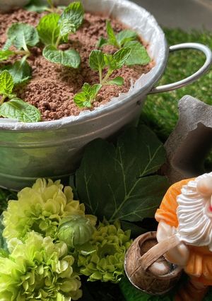 【生チョコムース】おじいさんのチョコ畑-レシピのメイン写真