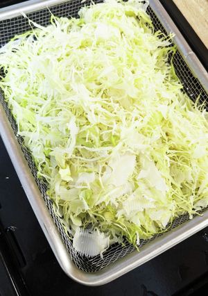 ヘルシオで千切りキャベツの低温蒸し-レシピのメイン写真