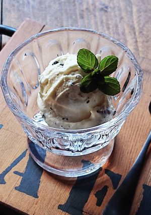 塩麹バニラアイスクリーム★チョコナッツ★-レシピのメイン写真