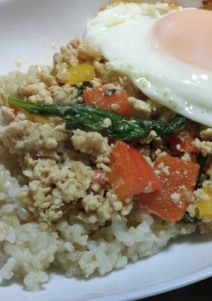 【タイに】ガパオライス【行きタイ】-レシピのメイン写真