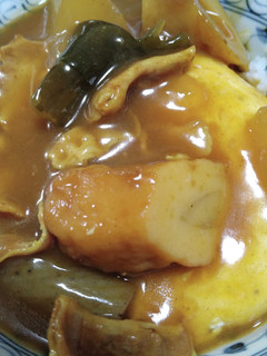 おでんをリメイク カレー丼-レシピのメイン写真