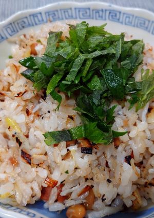 シラスと梅の納豆チャーハン-レシピのメイン写真
