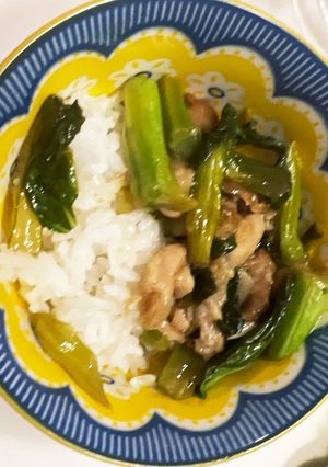 Best 香港式　鶏肉と野菜炒め　中華-レシピのメイン写真