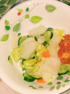 大根と人参と胡瓜とキャベツの浅漬け-レシピのメイン写真