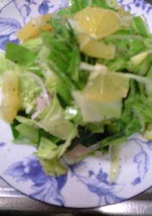 春キャベツのおいしいサラダ-レシピのメイン写真