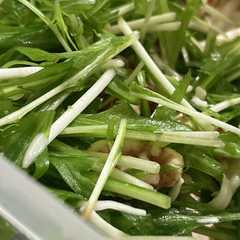 รูปของ 水菜とくるみとチーズのサラダ