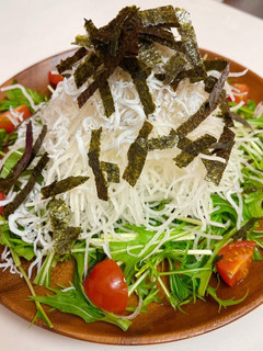 豪華!しらすと水菜と大根のタワーサラダ-レシピのメイン写真