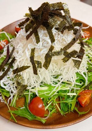 豪華！しらすと水菜と大根のタワーサラダ-レシピのメイン写真