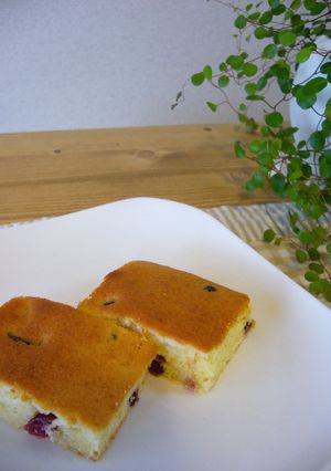 クランベリーのヨーグルトケーキ-レシピのメイン写真