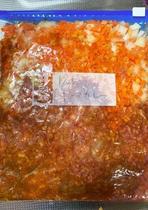 キーマカレーの下味冷凍-レシピのメイン写真