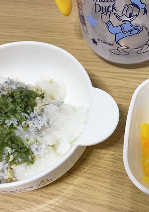 離乳食(納豆しらすオクラごはん)-レシピのメイン写真