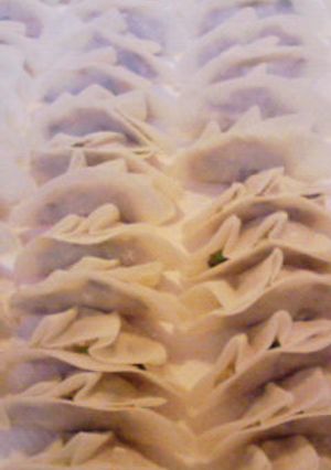 ヘルシー豆腐餃子-レシピのメイン写真