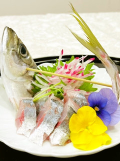 鯵(アジ)のお造り~魚の駅生地~-レシピのメイン写真