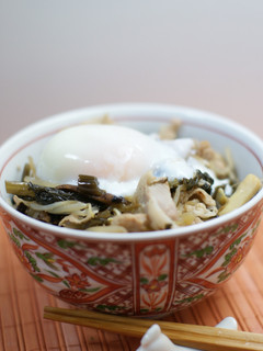 高菜とモヤシの炒めたの＊丼にしました-レシピのメイン写真