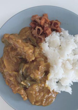 トロットロの「手羽先の煮込みカレー」-レシピのメイン写真