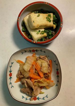 揚げ出し豆腐、中華餡掛け-レシピのメイン写真