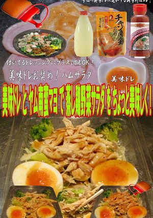 美味ドレとヤム南蛮マヨで蒸し鶏野菜サラダ-レシピのメイン写真