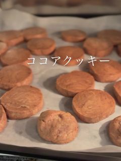 ココアクッキー-レシピのメイン写真