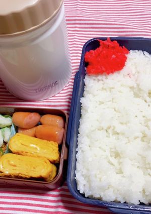 時短お弁当盛り付け記録　牛丼-レシピのメイン写真