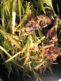 鰯と水菜の酢胡麻和え-レシピのメイン写真