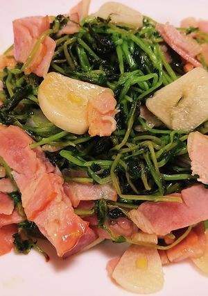 豆苗とベーコンのにんにく炒め-レシピのメイン写真