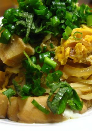 ヘルシー親子丼（風）-レシピのメイン写真