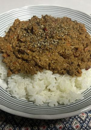 節分の豆と鰯のドライカレー-レシピのメイン写真