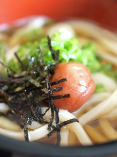 梅うどん☆-レシピのメイン写真
