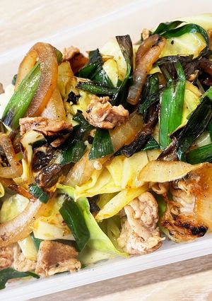 塩麹の肉野菜炒め-レシピのメイン写真