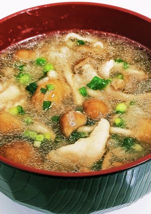 鶏皮なめこ みぞれ汁-レシピのメイン写真