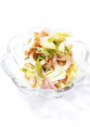 白菜のサラダ✨✨-レシピのメイン写真