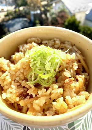 青椒肉絲風、炊き込みご飯2-レシピのメイン写真
