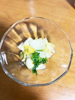 白菜で簡単漬物-レシピのメイン写真