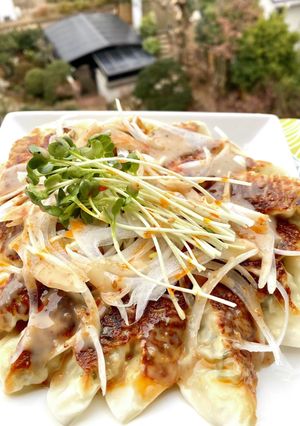 坦々風。サラダ餃子！-レシピのメイン写真