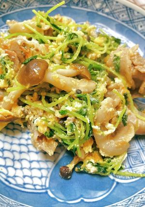 【お手軽1品！】豚肉と豆苗の卵とじ-レシピのメイン写真