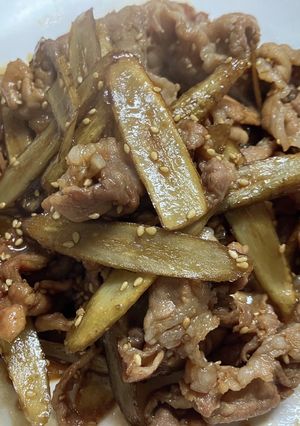 とっておきの一品！根野菜と豚肉の甘辛炒め-レシピのメイン写真