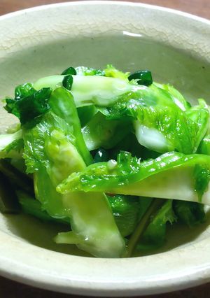 蕾菜の浅漬け　からし菜の風味と搾菜の食感-レシピのメイン写真