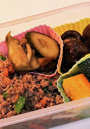 パパの御弁当Ver.20230210-レシピのメイン写真