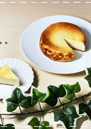 本格ベイクドチーズケーキ-レシピのメイン写真
