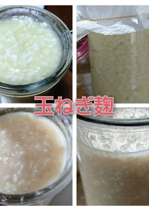 玉ねぎ麹☆-レシピのメイン写真