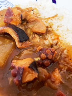 電気圧力鍋でタコ大根カレー-レシピのメイン写真