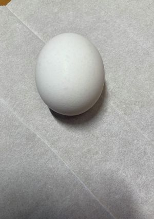 感覚で作る卵かけご飯-レシピのメイン写真